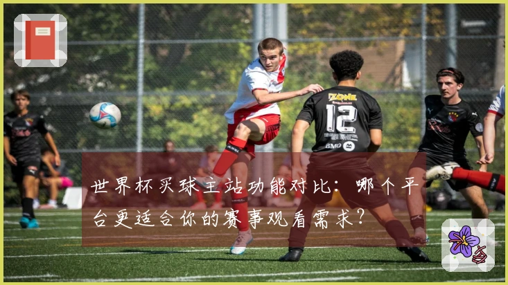 世界杯买球主站功能对比:哪个平台更适合你的赛事观看需求?