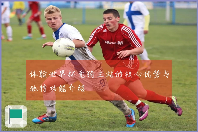 体验世界杯竞猜主站的核心优势与独特功能介绍