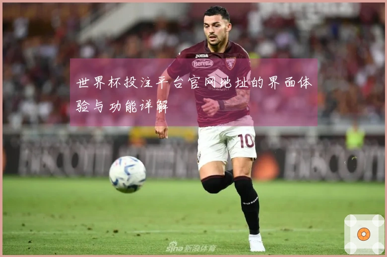 世界杯投注平台官网地址的界面体验与功能详解