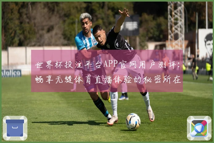 世界杯投注平台APP官网用户测评：畅享无缝体育直播体验的秘密所在