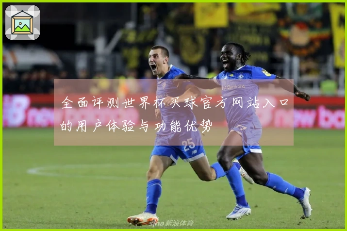 全面评测世界杯买球官方网站入口的用户体验与功能优势
