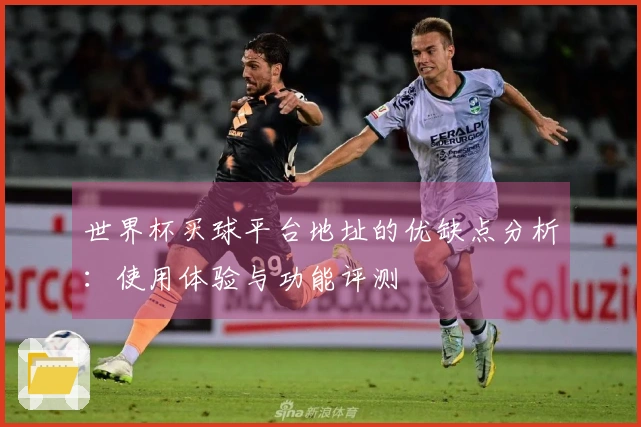 世界杯买球平台地址的优缺点分析：使用体验与功能评测