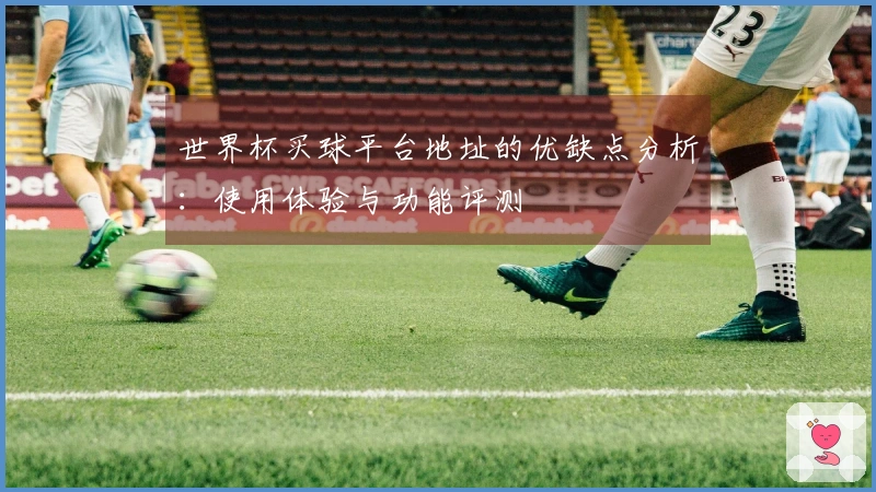 世界杯买球平台地址的优缺点分析：使用体验与功能评测