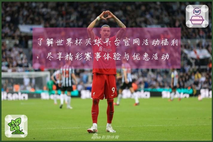 了解世界杯买球平台官网活动福利，尽享精彩赛事体验与优惠活动