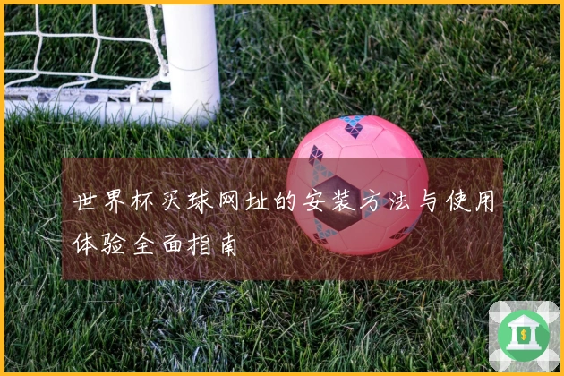 世界杯买球网址的安装方法与使用体验全面指南