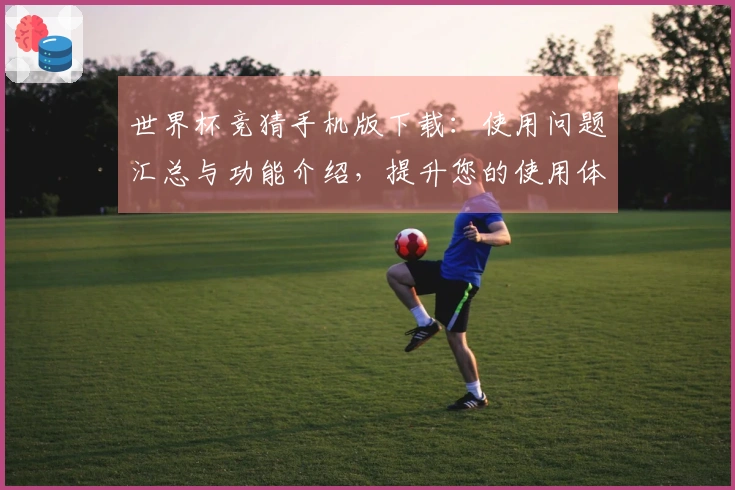 世界杯竞猜手机版下载：使用问题汇总与功能介绍，提升您的使用体验