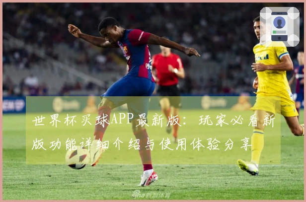 世界杯买球APP最新版：玩家必看新版功能详细介绍与使用体验分享