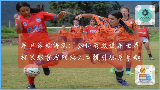 用户体验评测：如何有效使用世界杯买球官方网站入口提升观看乐趣