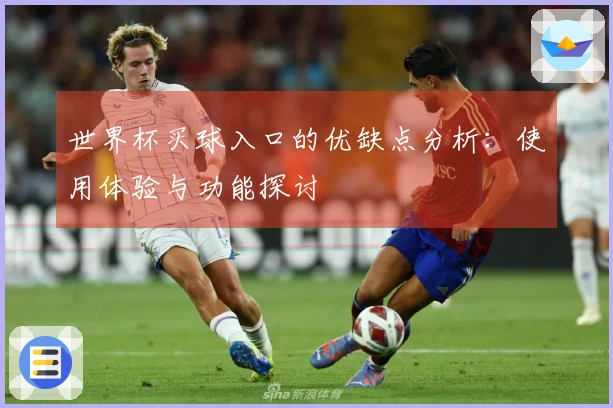 世界杯买球入口的优缺点分析：使用体验与功能探讨