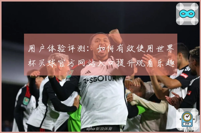 用户体验评测：如何有效使用世界杯买球官方网站入口提升观看乐趣