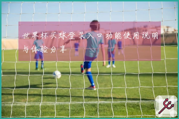 世界杯买球登录入口功能使用说明与体验分享