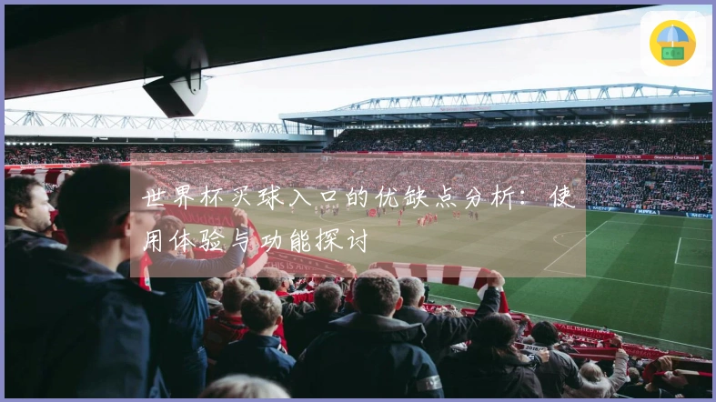 世界杯买球入口的优缺点分析：使用体验与功能探讨