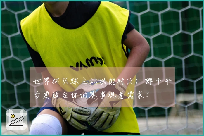 世界杯买球主站功能对比：哪个平台更适合你的赛事观看需求？