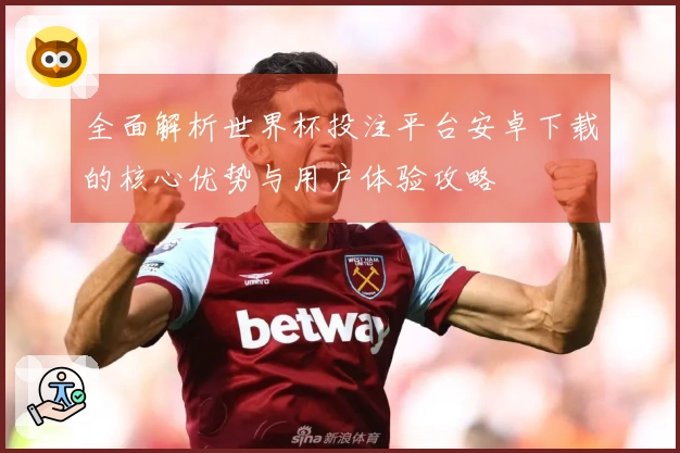 全面解析世界杯投注平台安卓下载的核心优势与用户体验攻略
