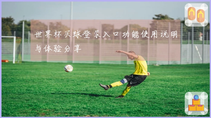 世界杯买球登录入口功能使用说明与体验分享